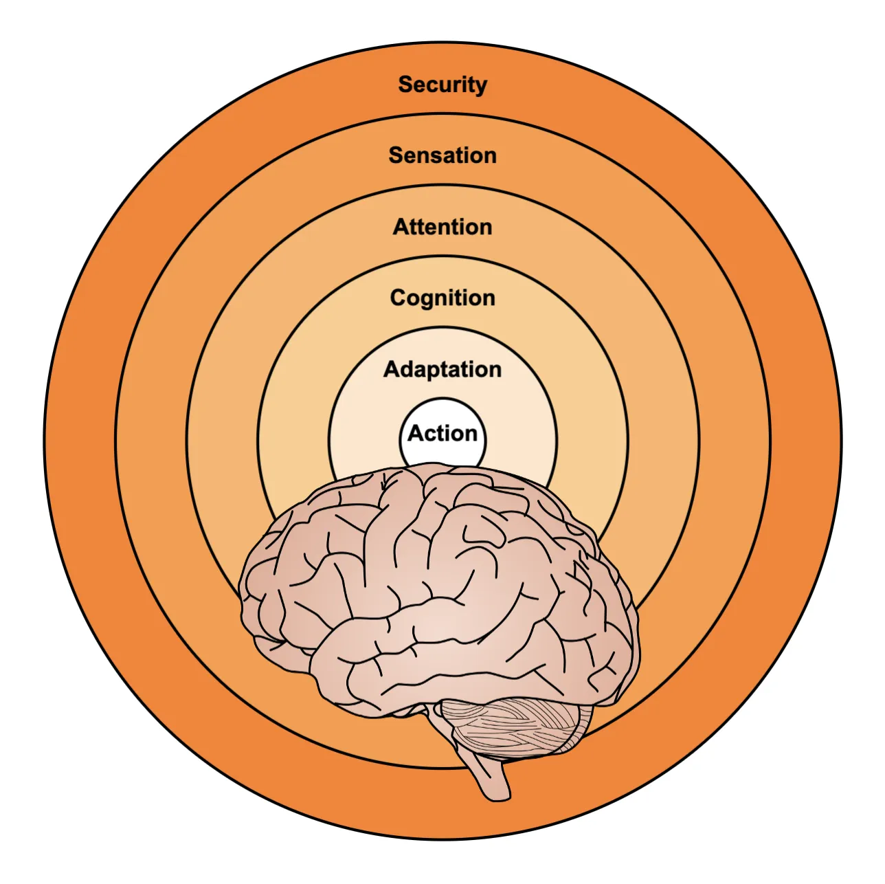 Sensorium Framework - 6 Layers